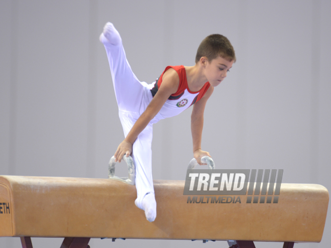 Kişi idman gimnastikası üzrə 22-ci Bakı Çempionatı və Birinciliyi. Bakı, Azərbaycan, 02 oktyabr 2015